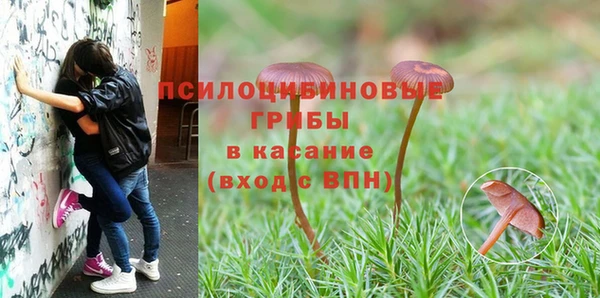 скорость Балахна