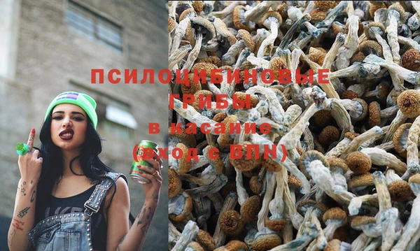 скорость Балахна