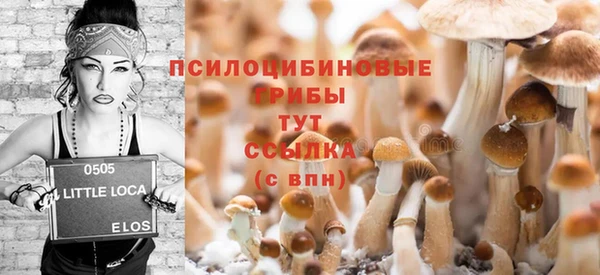 ешки Баксан